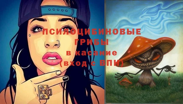 бошки Волосово